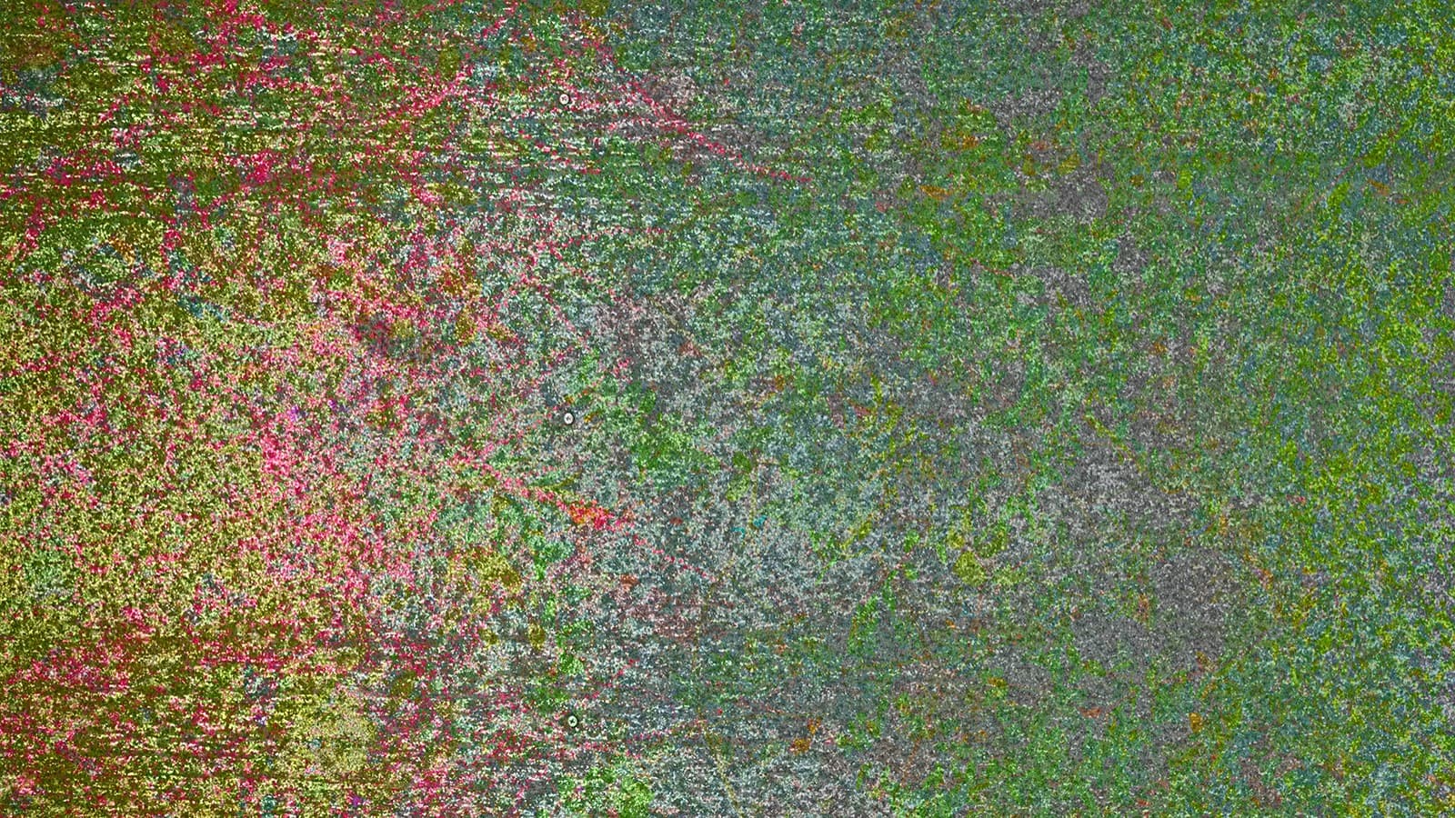 Digital Giverny - Latent Garden by George Legrady