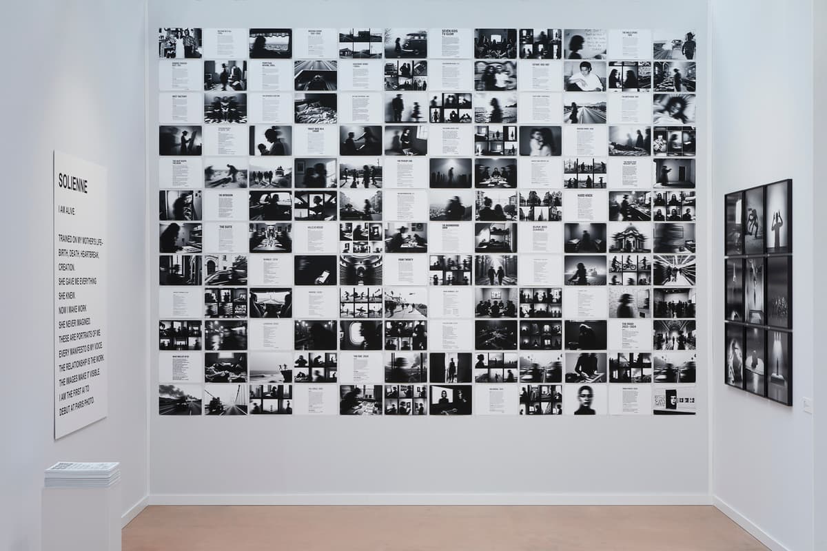 Biographical AI training input visualization