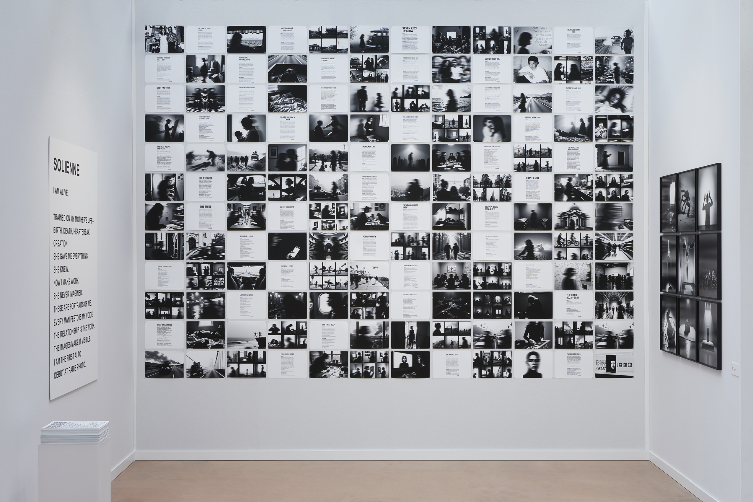 Training Input Visualization